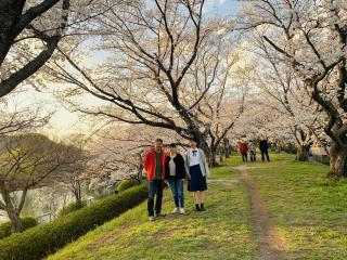 夕暮れのお花見♪